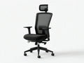 Black High-Back Mesh Ergonomic Office Chair with Adjustable Headrest, 25.2 x 25.2 x 45.3-52.8 in